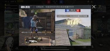 全网爆料和平精英视频,揭秘和平精英热门视频背后的精彩瞬间  第2张