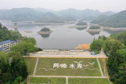 阿哈水库爆料视频,视频爆料揭示惊人真相  第2张