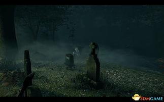 女幽灵高清在线观看,高清在线惊悚盛宴  第2张