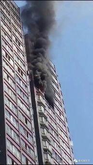 杨家坪最新爆料,揭秘神秘事件背后的真相 第1张 杨家坪最新爆料,揭秘神秘事件背后的真相 第1张